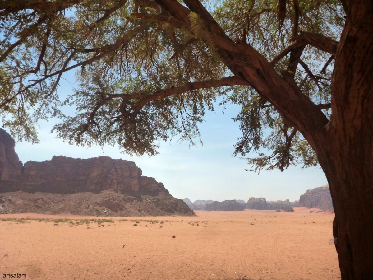Sunrise Camp Hotell Wadi Rum Eksteriør bilde