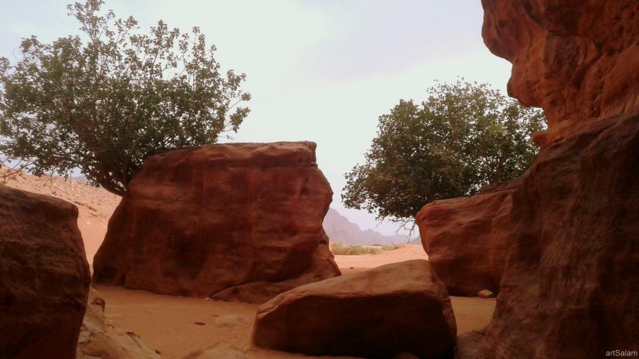 Sunrise Camp Hotell Wadi Rum Eksteriør bilde