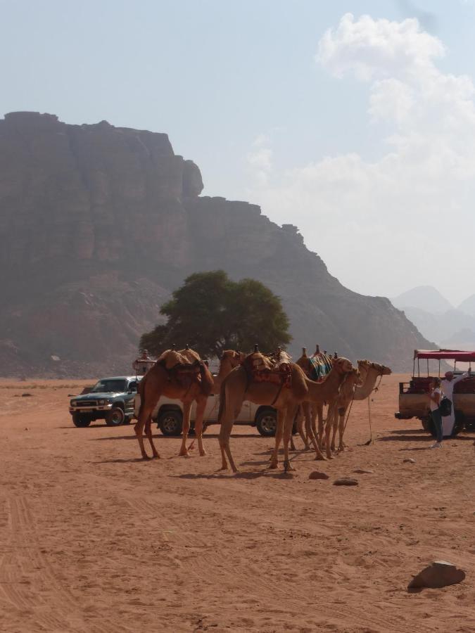 Sunrise Camp Hotell Wadi Rum Eksteriør bilde